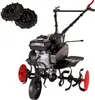 Scheppach motobineuse à essence MTP750 - 5,7cv | largeur de Voir les images du produit 10
