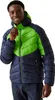 Regatta - "Dalent" Isolier-Jacke mit Kapuze für Herren Produktbild-Vorschau 4