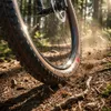 Pneumatici Schwalbe Racing Ray Evolution Line Anteprima dell’immagine prodotto 4