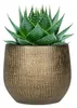Steege Pflanzentopf - modernes Design - gold - 16 x 18 cm Produktbild-Vorschau 2