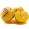 Sada 4 pepin - Solanum muricatum "Pepino Gold" - Melounová Náhled obrázku produktu 5