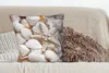 MuchoWow® Zierkissen Sofakissen Wohnzimmer Dekokissen 60x60 Produktbild-Vorschau 4