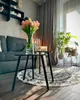 A living room scene with a sofa, coffee tables, and plants. Produktbild-Vorschau