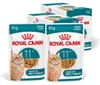 Royal Canin Ageing 11+ Mix Nassfutter 24 x 85 g Stückchen Produktbild-Vorschau 1