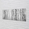 Glasbilder 125x50 Wandkunst Schwarze und weiße Birke Produktbild-Vorschau 2