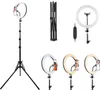 Tracer TRAOSW46745 anello luminoso 160 LED Anteprima dell’immagine prodotto 9