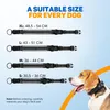 Vulpes Goods Collier pour chien, Collier Apple Airtag pour Voir les images du produit 9