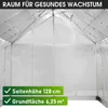 BRAST Gewächshaus Aluminium mit Fundament | 250x250x205cm | Produktbild-Vorschau 9