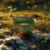Certyfikowana Matcha Premium Ceremonial 25 G Pierwsze Podgląd zdjęcia produktu 5