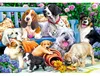TREFL Puzzle 1000 psů v zahradě 10556 Náhled obrázku produktu 5