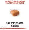 Royal Canin Poodle Adult, Dospělý jedinec, Pudl, Malý (5-10 Náhled obrázku produktu 3