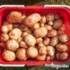 Agria Pflanzkartoffeln 28/35 (5 kg) - Organifer Produktbild-Vorschau 9