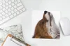 MuchoWow® Mauspad Mousepad Fuchs - Nase - Weiß 20x20 cm - Produktbild-Vorschau 5