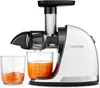 AMZCHEF ZM1501 Slow Juicer Entsafter 4 in 1 Produktbild-Vorschau 15