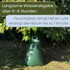 2er Set Baum Bewässerungssack für Bäume Bewässerung Baum Produktbild-Vorschau 4