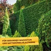 Gehölzdünger Solabiol Baum-,Strauch & Heckendünger Granulat Produktbild-Vorschau 13