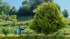 Rallonge telescopique pour pulvérisateur Voir les images du produit 5