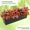 MePla - Blumenkasten Balcony Standard 100 cm braun Produktbild-Vorschau 6