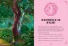 Unicorn Academy - Ravenzellas Rache Produktbild-Vorschau 2