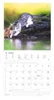Alpha Edition - Samtpfötchen Kalender 2026 - Wandkalender & Produktbild-Vorschau 11