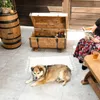 CREATIVE COOPER Rustikale Holztruhe in Fassform | Produktbild-Vorschau 9