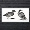 Coloray Bild aus Acryl 140 cm x 70 cm - Bild auf Acrylglas Produktbild-Vorschau 2