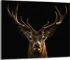 A close-up portrait of a deer's head against a black background. Produktbild-Vorschau