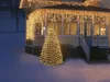 Best Season System Expo "Icicle-Extra" 2 m x 1 m, 100 Anteprima dell’immagine prodotto 6