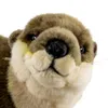 Close-up of a stuffed otter toy against a white background. Anteprima dell’immagine prodotto