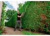 Hedge trimmer METABO AHS 18-55 V (2 x 4,0 Ah) Productafbeelding-voorbeeld 15