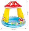 La piscina gonfiabile con fungo velenoso sul tetto Anteprima dell’immagine prodotto 7