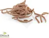 Scialatielli Vollkorn Pasta 500 gr Fabbrica della Pasta di Produktbild-Vorschau 2