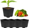 A seedling in a black pot, surrounded by vegetables and more empty pots. Podgląd zdjęcia produktu