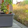 Nohel Garden Truhlík BERBERIS samozavlažovací Barva: Náhled obrázku produktu 16