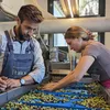 Pamako Olivenöl Extra Vergine 500ml Kreta Tsounati Produktbild-Vorschau 9