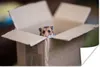 MuchoWow® Poster Hamster entsteigt einer Pappschachtel Produktbild-Vorschau 1