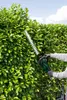 A person is trimming a hedge with an electric hedge trimmer. Produktbild-Vorschau