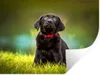 MuchoWow® - Selbstklebend - Fototapeten Produktbild-Vorschau 1