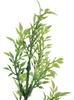 Tymiánová Snítka 57 Cm Náhled obrázku produktu 3