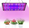 A grow light illuminates three potted plants: a tomato plant with red fruit, a pepper plant with red peppers, and a leafy green plant. Produktbild-Vorschau