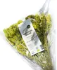 Griechischer Bio Bergtee 60 Gramm als Strauß vom Olymp Produktbild-Vorschau 2