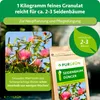 Purgrün Seidenbaum-Dünger 1 kg Produktbild-Vorschau 4