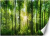 Vlies fototapete Sonnenschein Wald Natur 368x254 cm Feeby Produktbild-Vorschau 1