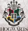 Harry Potter - Hogwarts - 2 x Bettwäsche im Doppelpack, Produktbild-Vorschau 5