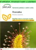 SAFLAX Garden to go - rosnatka - Drosera capensis - 200 Náhled obrázku produktu 1
