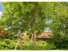 Gardena Tree Shears and Shrub Cutter StarCut Pro S Náhled obrázku produktu 5