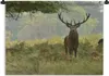 MuchoWow® Wandteppich Wandbehang Hirsche - Natur - Tiere Produktbild-Vorschau 1