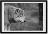 Bild - Bilderrahmen - 100 cm x 70 cm - MDF - Rahmen - Foto Produktbild-Vorschau 1