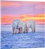 Bilder auf glas - Bären Winter Schnee Familie - 60x60cm - Produktbild-Vorschau 1