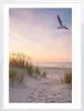 A path through sand dunes leading to a beach at sunset with a seagull flying. Produktbild-Vorschau
